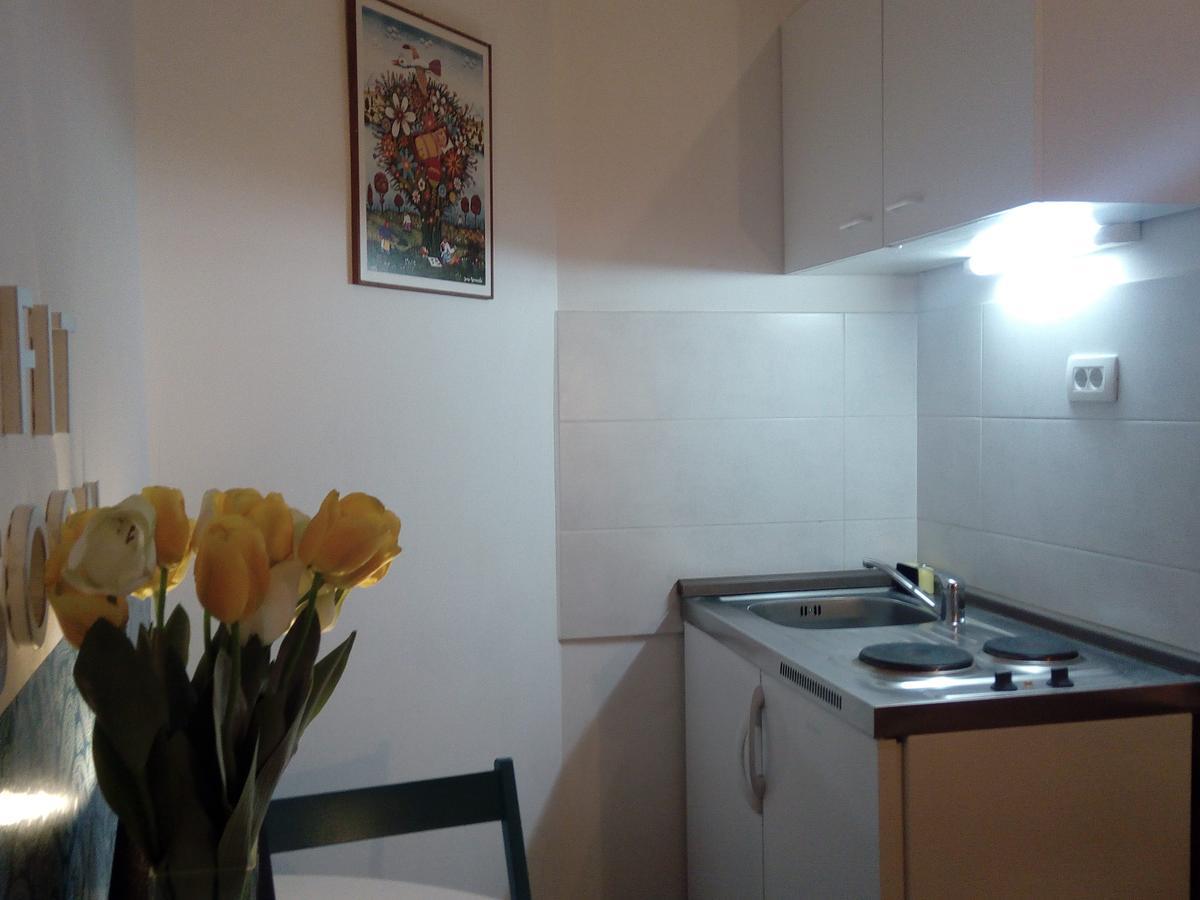Optimist/city Break Apartment